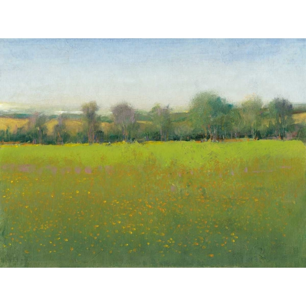 Verdant Countryside I Poster Print - Tim OToole-VARPDX118463D Image 1