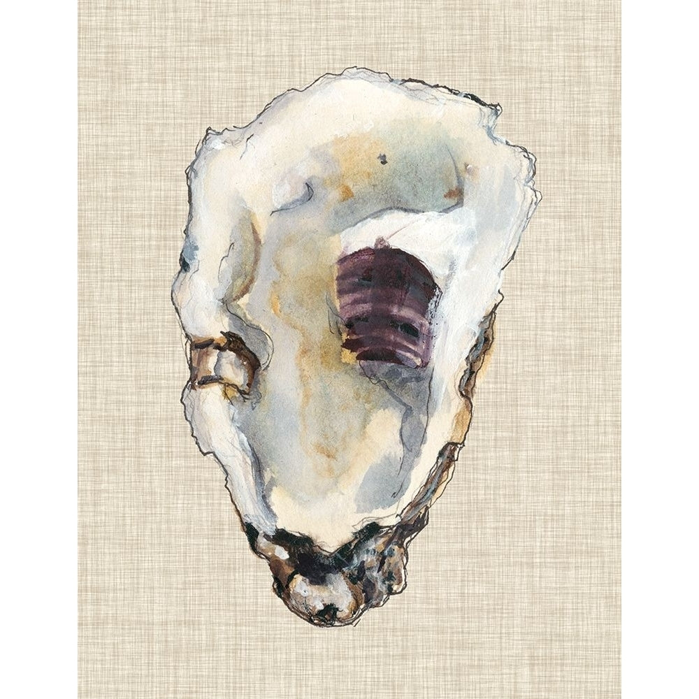 Oyster Shell Study III Poster Print - Michael Willett-VARPDX118619Z Image 1