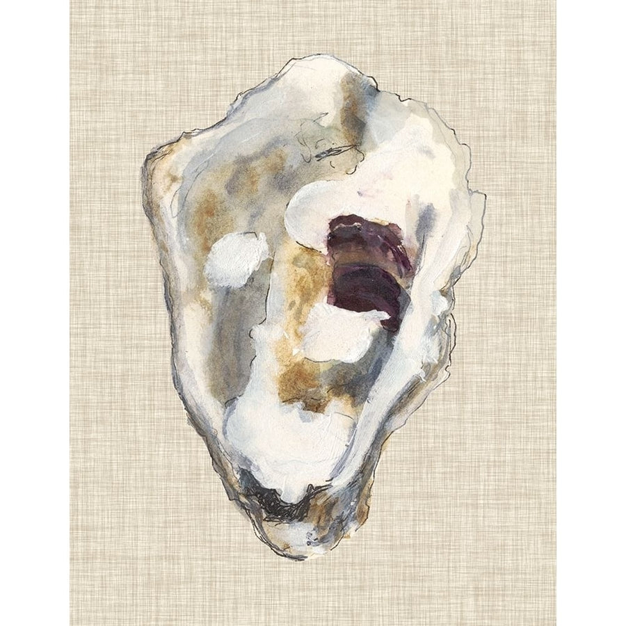 Oyster Shell Study II Poster Print - Michael Willett-VARPDX118618Z Image 1