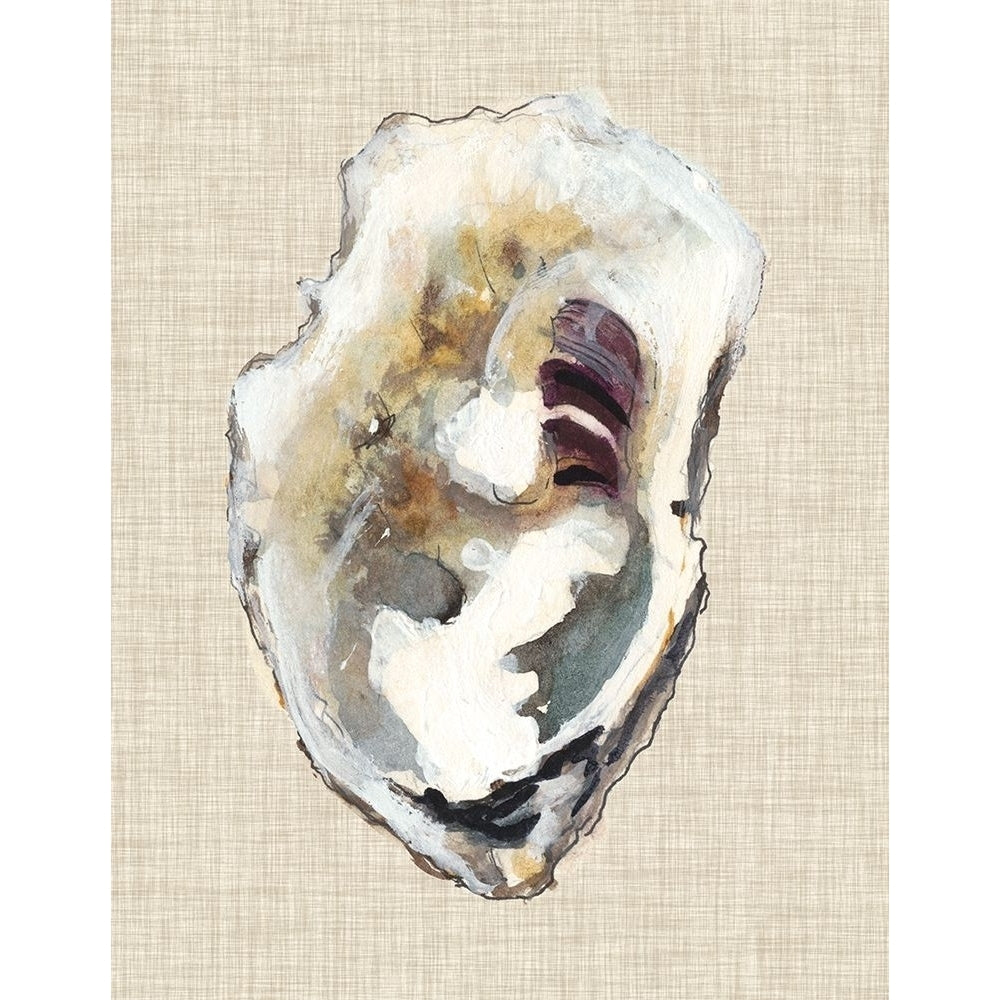 Oyster Shell Study I Poster Print - Michael Willett-VARPDX118617Z Image 1