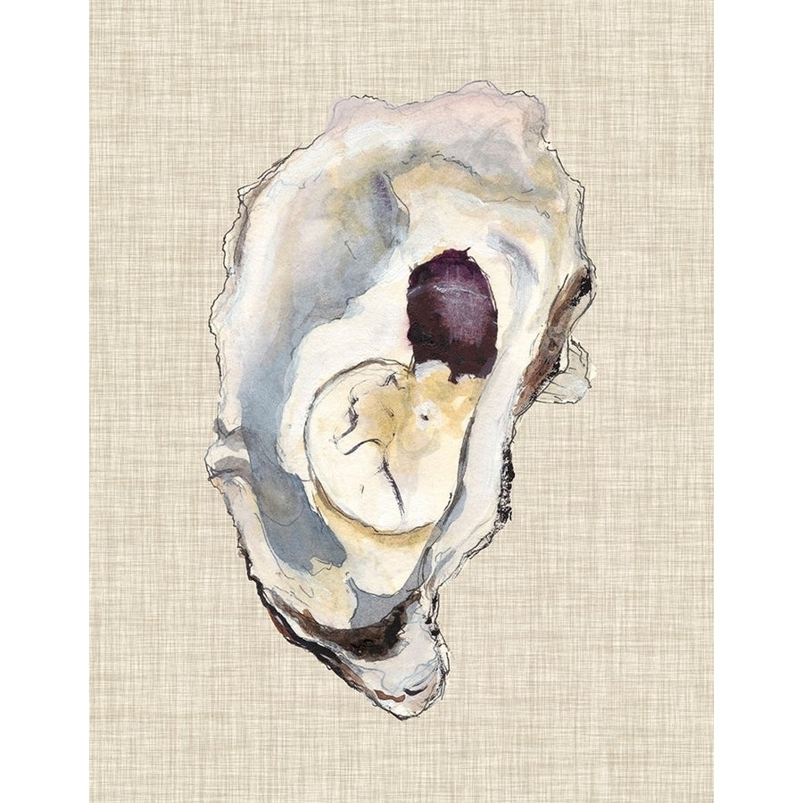 Oyster Shell Study IV Poster Print - Michael Willett-VARPDX118620Z Image 1