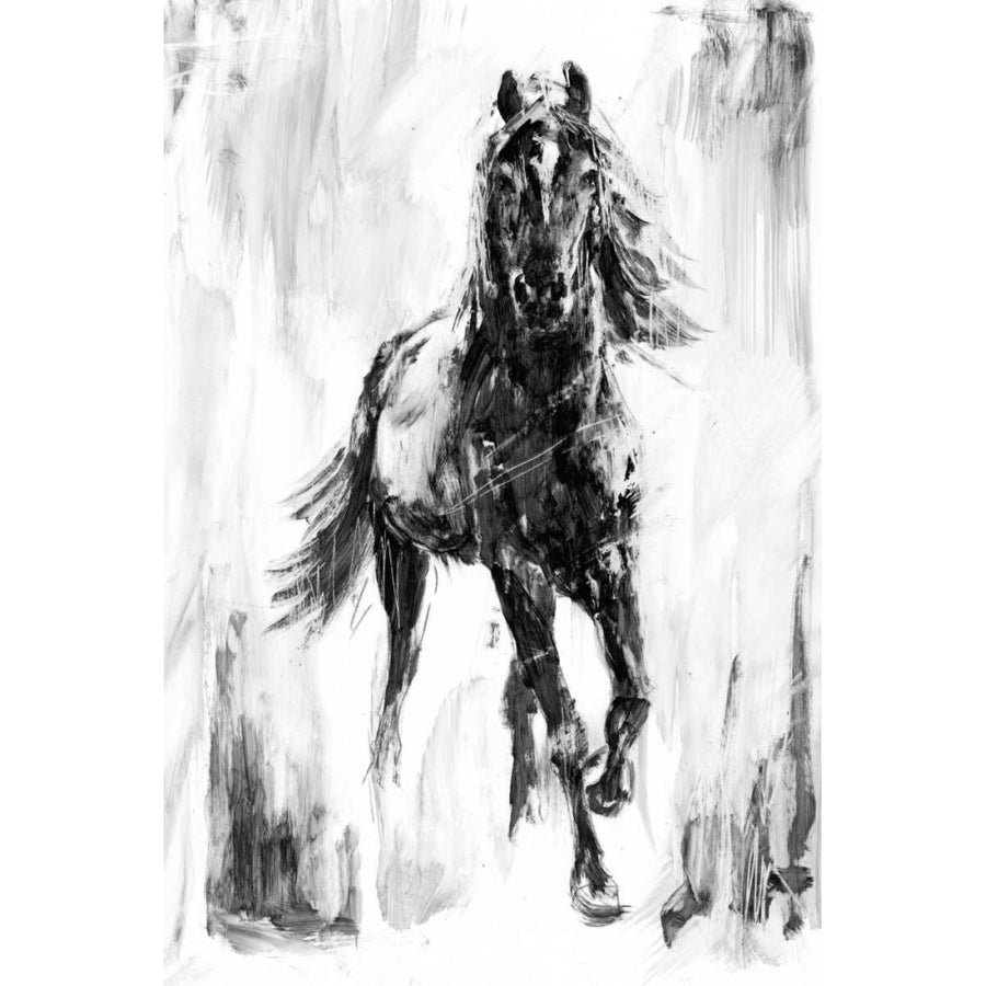 Rustic Stallion I Poster Print - Ethan Harper-VARPDX118660FN Image 1