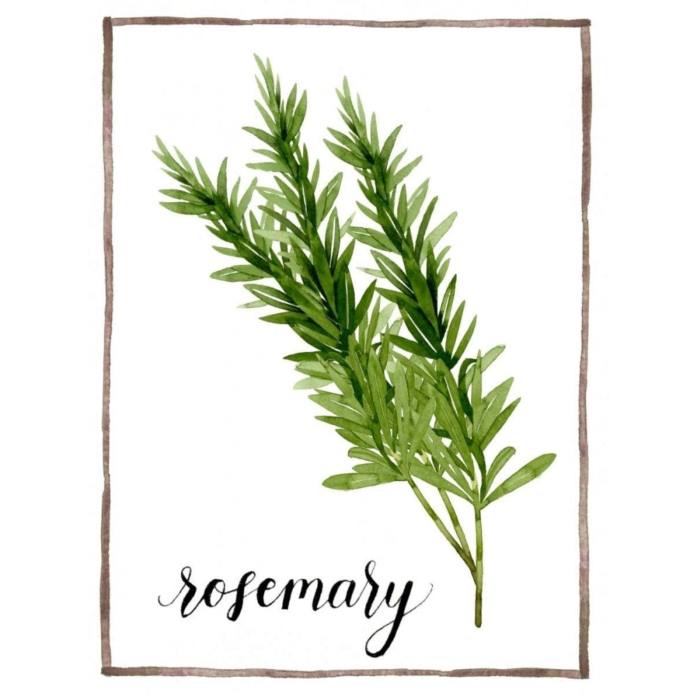 Watercolor Herbs V Poster Print - Grace Popp-VARPDX118875D Image 1