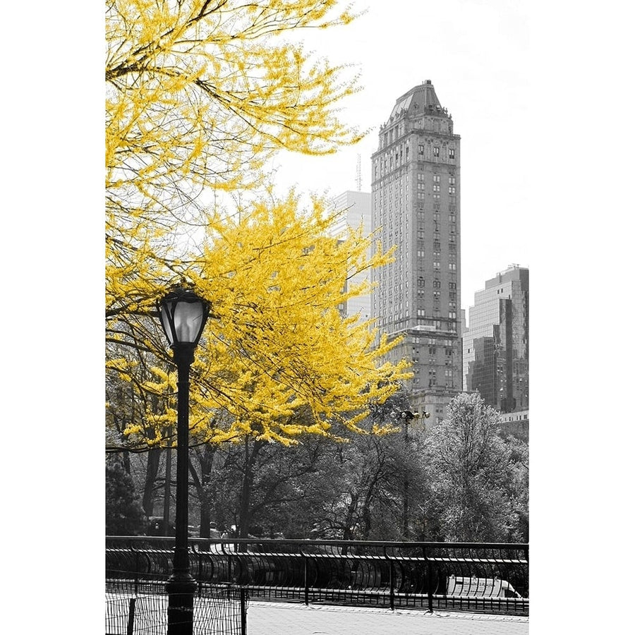 Central Park with Yellow Tree Poster Print by Emily Navas-VARPDX11889R Image 1