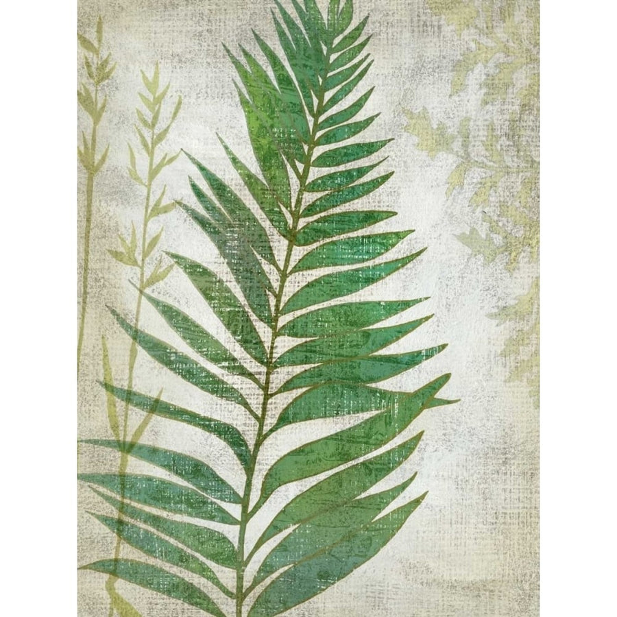 Frond I Poster Print - Chariklia Zarris-VARPDX119305D Image 1