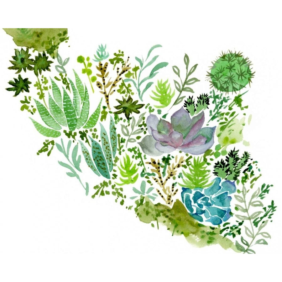 Succulent Field II Poster Print - Melissa Wang-VARPDX119315GG Image 1