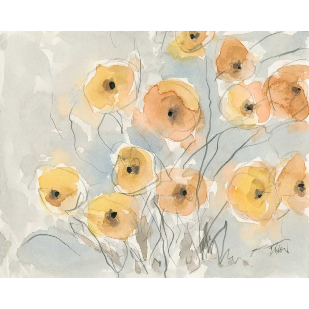 Sunset Poppies I Poster Print - Samuel Dixon-VARPDX119411Z Image 1