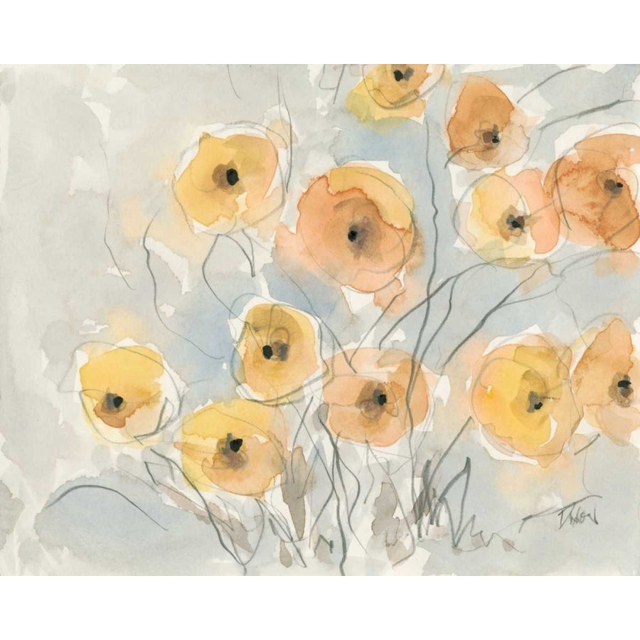 Sunset Poppies I Poster Print - Samuel Dixon-VARPDX119411Z Image 1