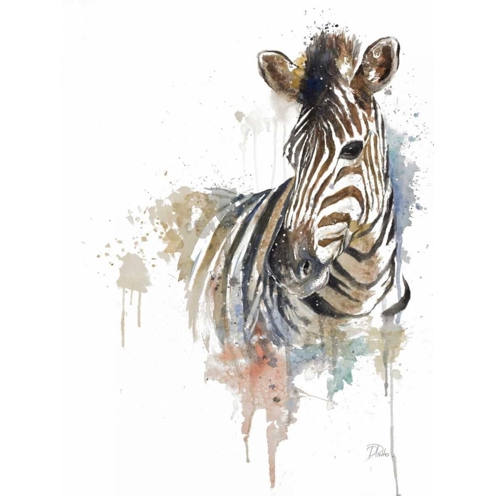 Water Zebra Poster Print by Patricia Pinto-VARPDX11991 Image 1