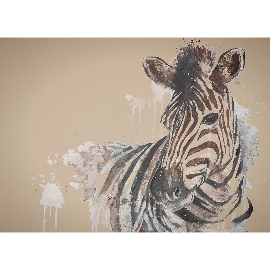 Sandstone Zebra Poster Print by Patricia Pinto-VARPDX11991L Image 1