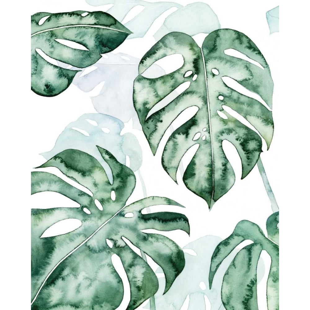 Split Leaf I Poster Print - Grace Popp-VARPDX119925GG Image 1