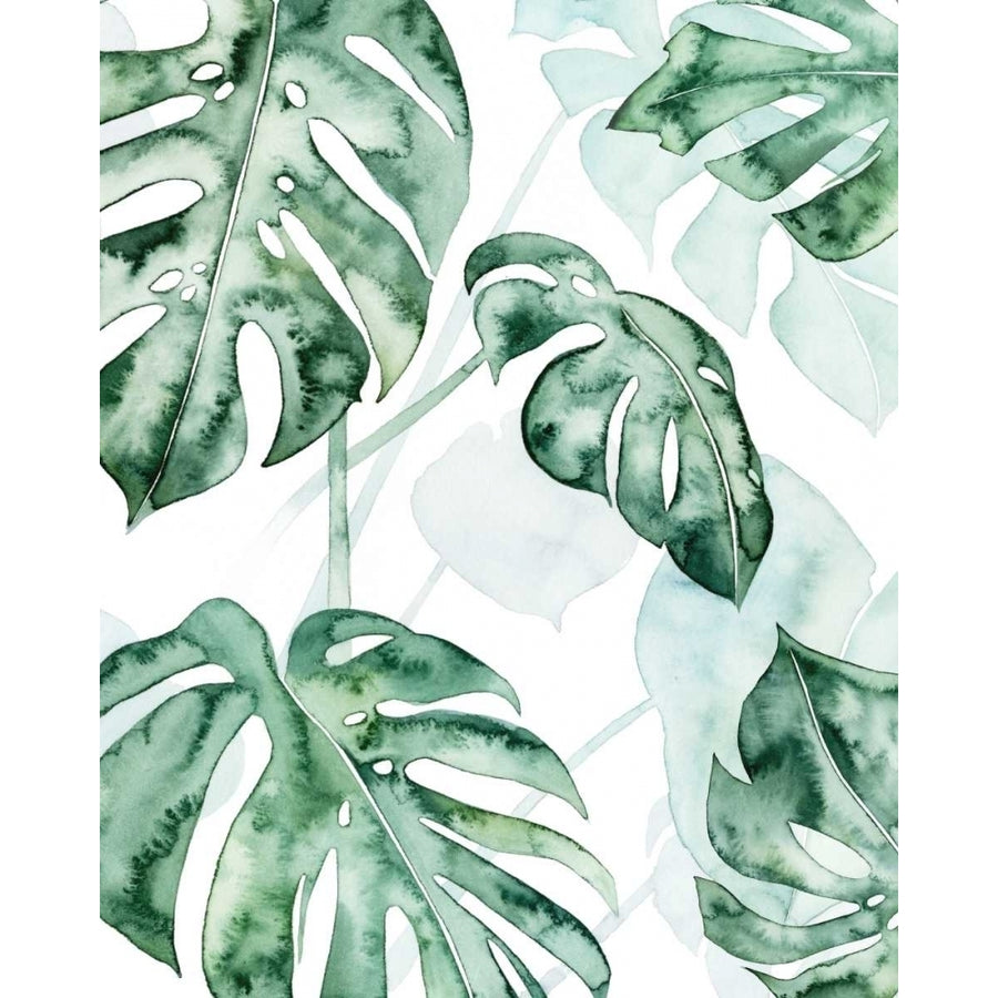 Split Leaf II Poster Print - Grace Popp-VARPDX119926GG Image 1