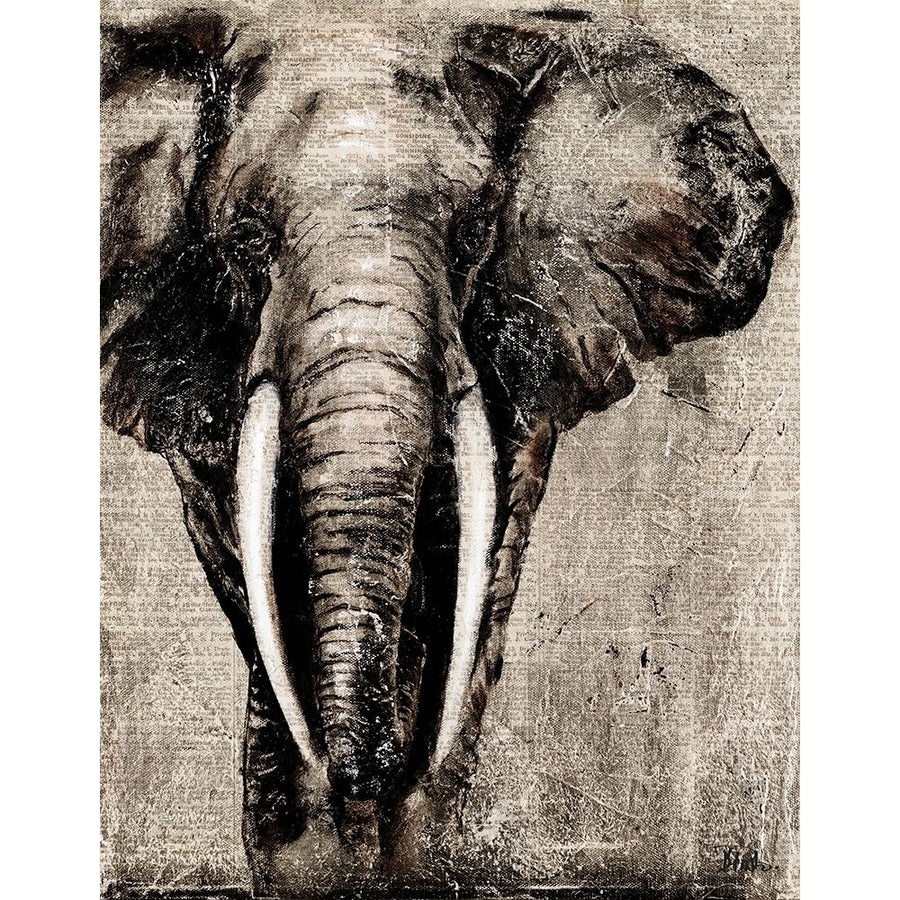 Elephant on Newspaper Poster Print by Patricia Pinto-VARPDX12043D Image 1