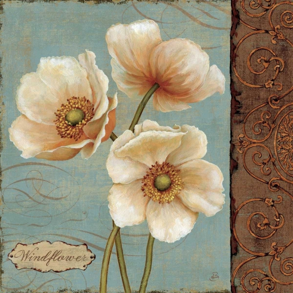 Windflower II Poster Print by Daphne Brissonnet-VARPDX1205 Image 1