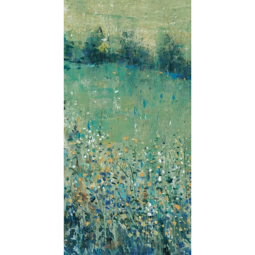 Lush Meadow I Poster Print - Tim OToole-VARPDX120569FN Image 1