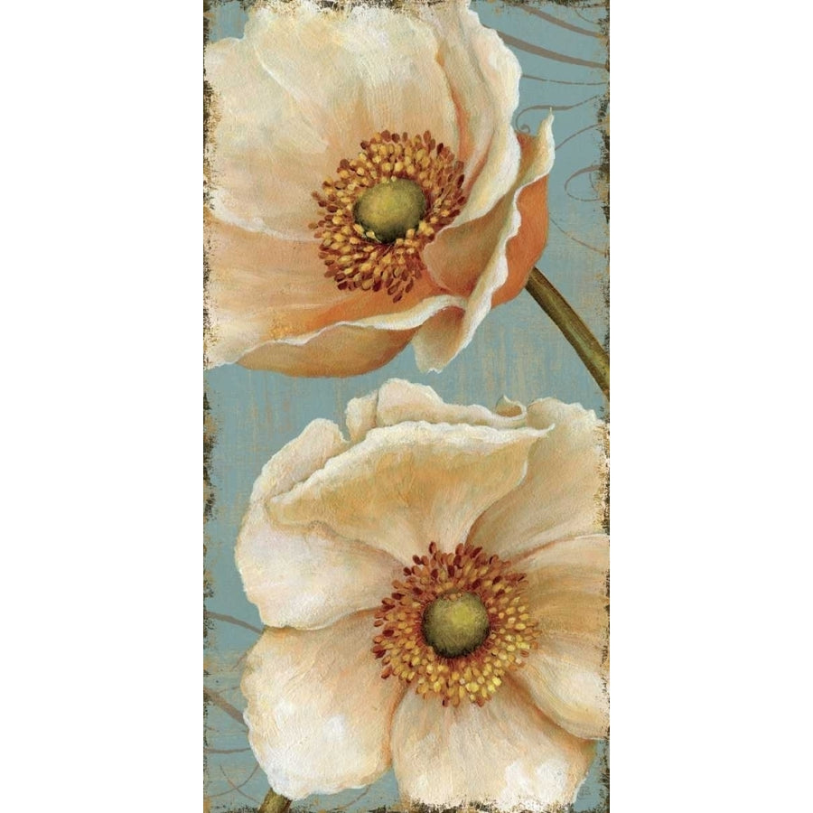 Windflower I Poster Print by Daphne Brissonnet-VARPDX1206 Image 1