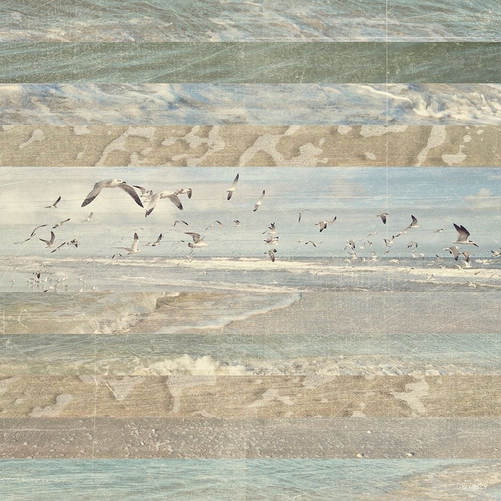 Flying Beach Birds I Poster Print by Dan Meneely-VARPDX12070B Image 1