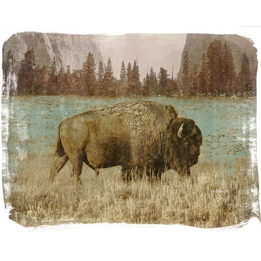 Bison in the Park Poster Print by Dan Meneely-VARPDX12076C Image 1