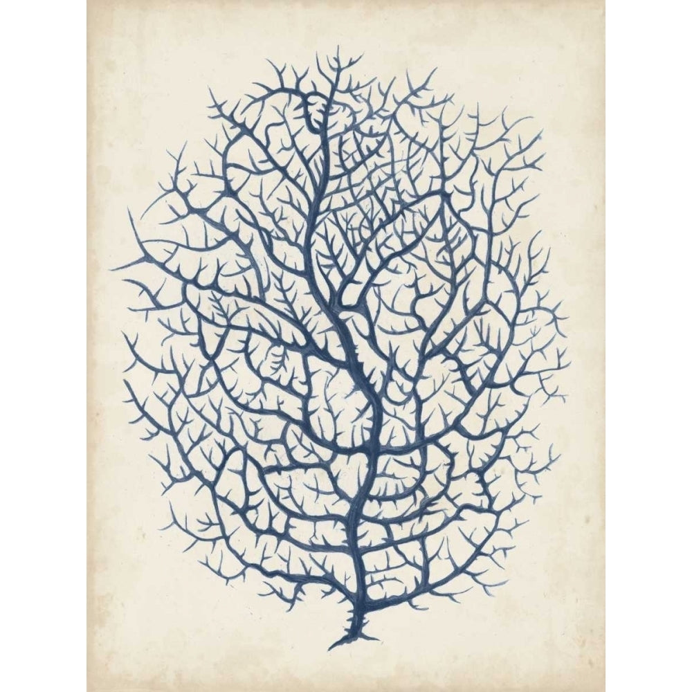 Indigo Coral I Poster Print - Studio Vision-VARPDX121324Z Image 1