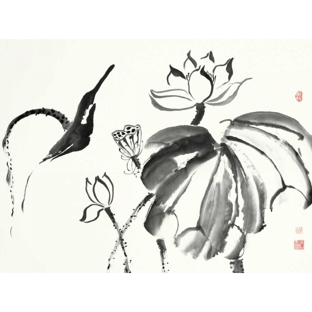 Lotus Study I Poster Print - Nan Rae-VARPDX121389Z Image 1