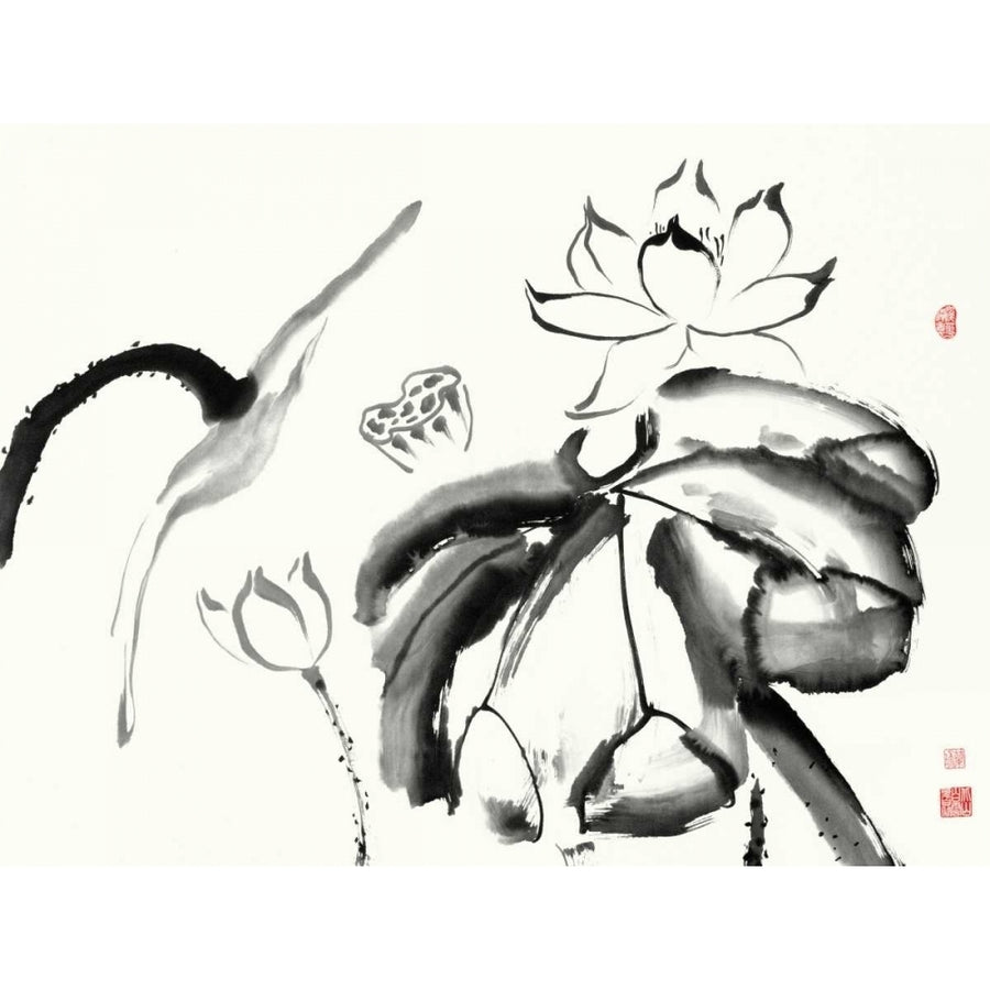 Lotus Study III Poster Print - Nan Rae-VARPDX121391Z Image 1