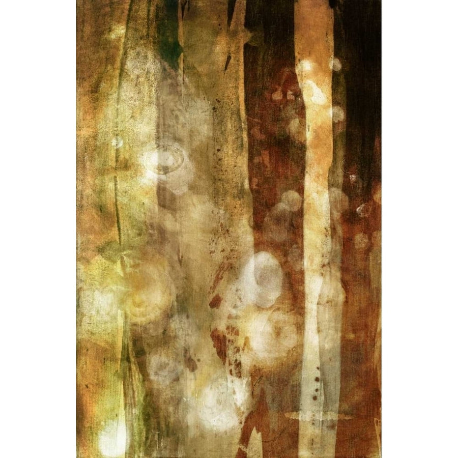 Golden Glow II Poster Print - Sisa Jasper-VARPDX121452Z Image 1