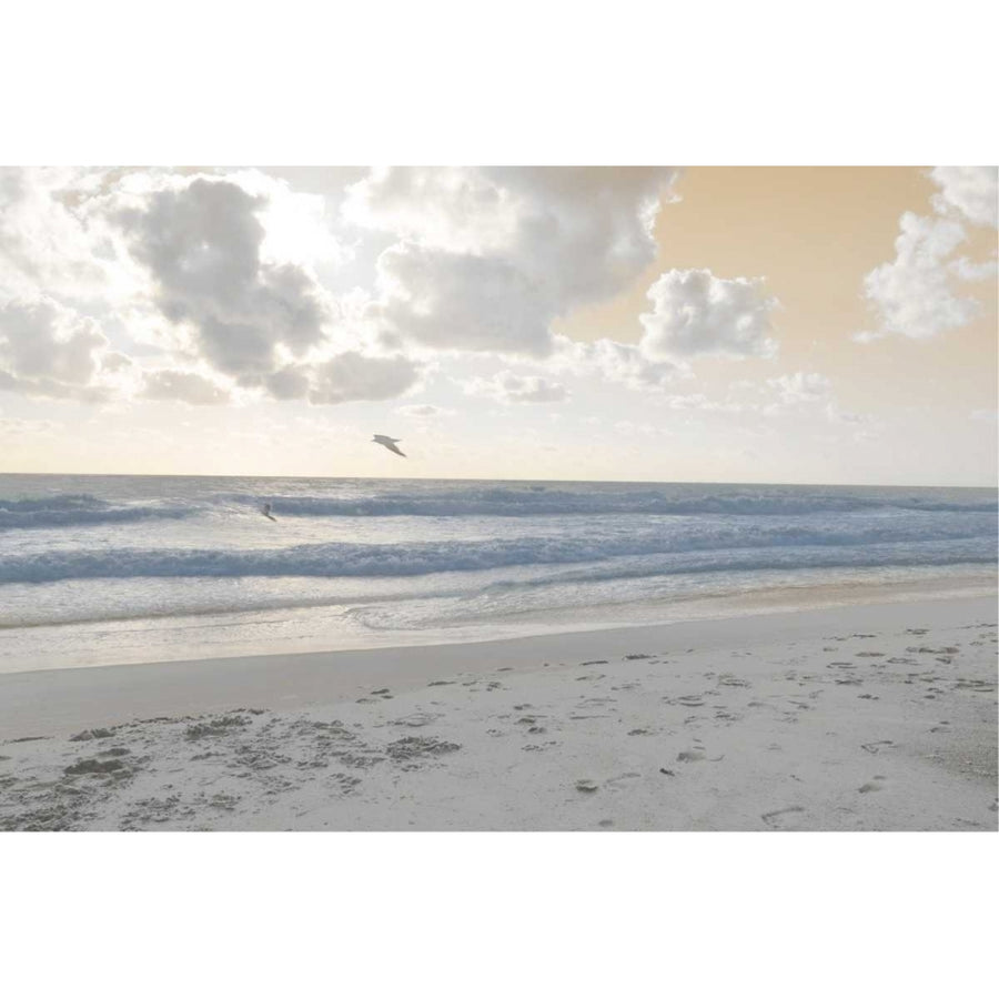 Serene Sea I Poster Print - Sharon Chandler-VARPDX121537GG Image 1