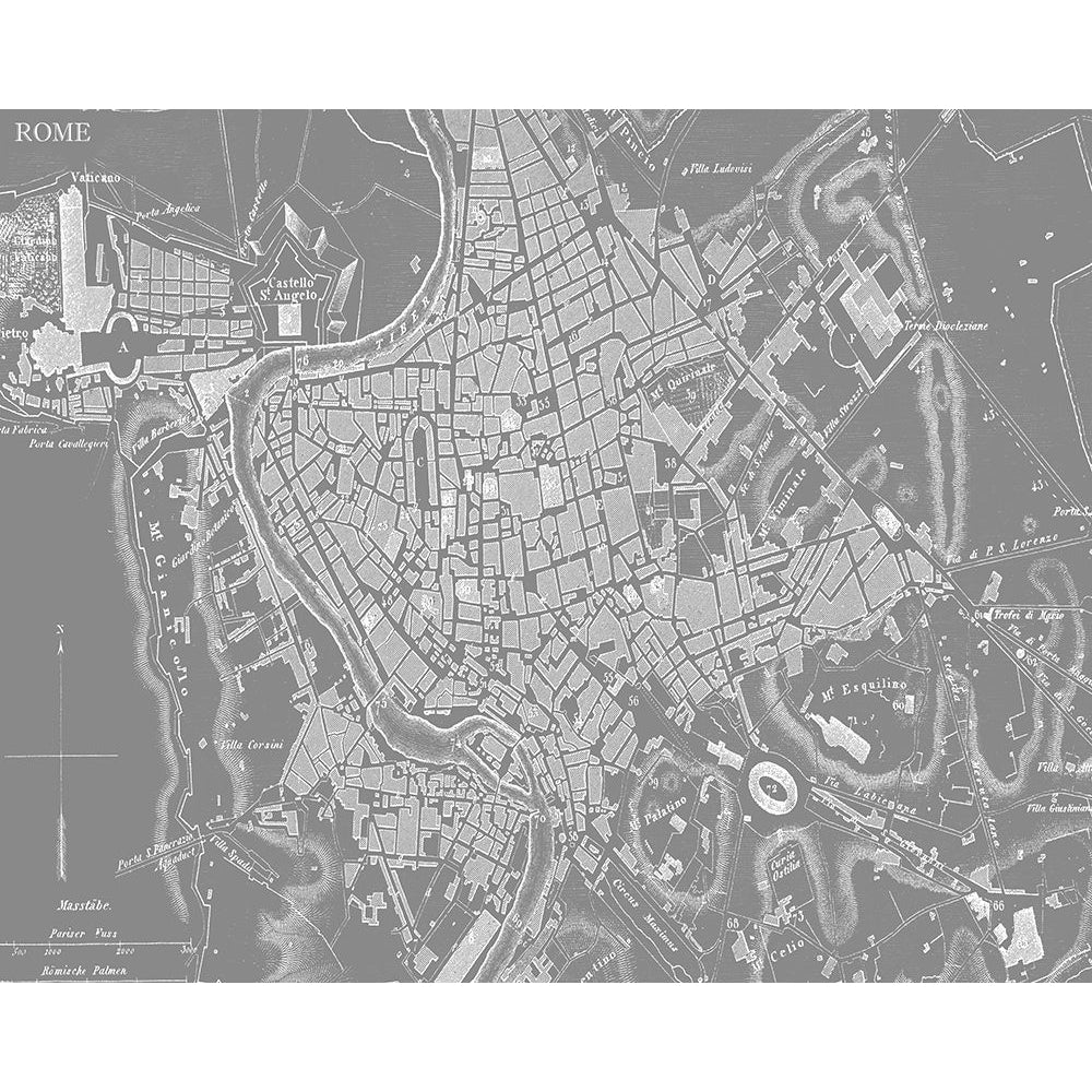 Custom Grey Map of Rome Poster Print - Studio Vision-VARPDX121617GG Image 1