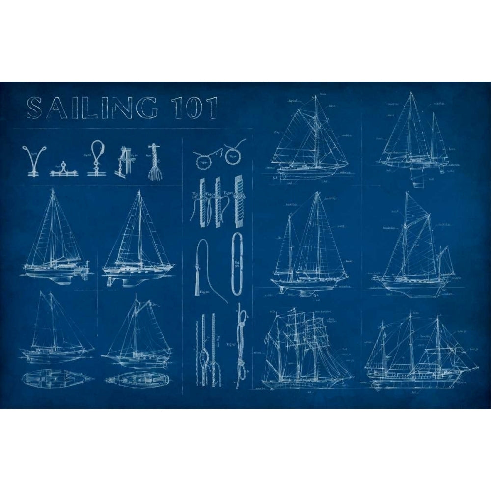 Sailing Infograph Poster Print - Ethan Harper-VARPDX121683GG Image 1