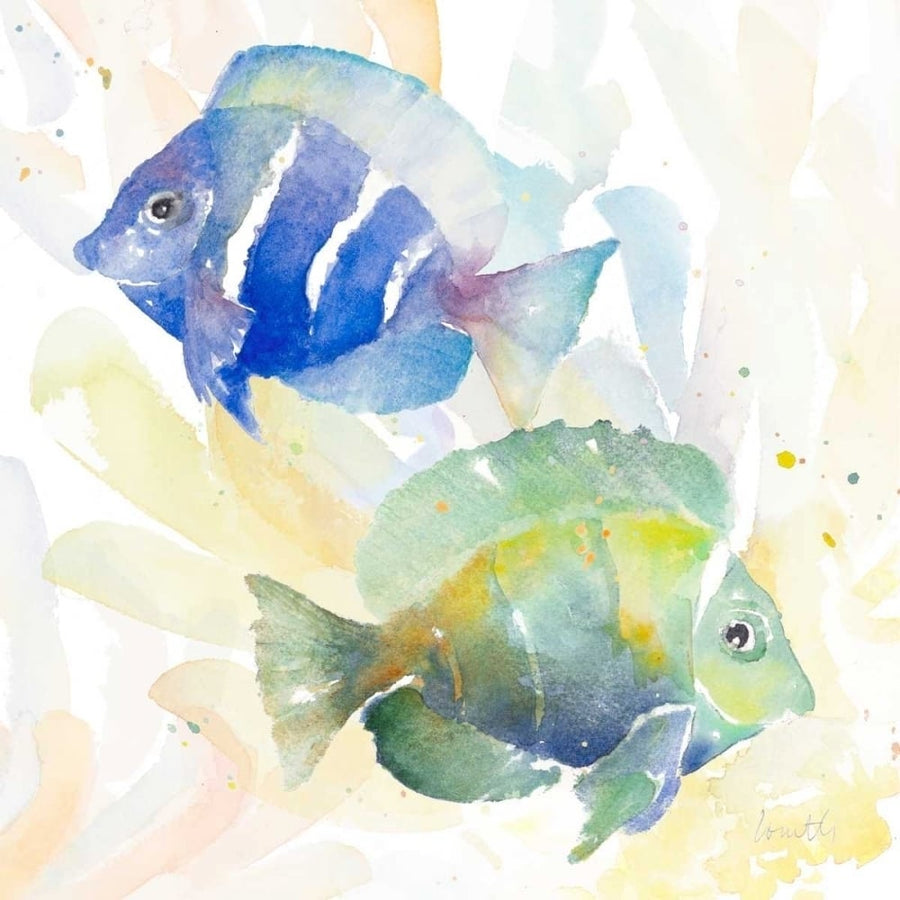 Tropical Fish Square IV Poster Print by Lanie Loreth-VARPDX12180B Image 1