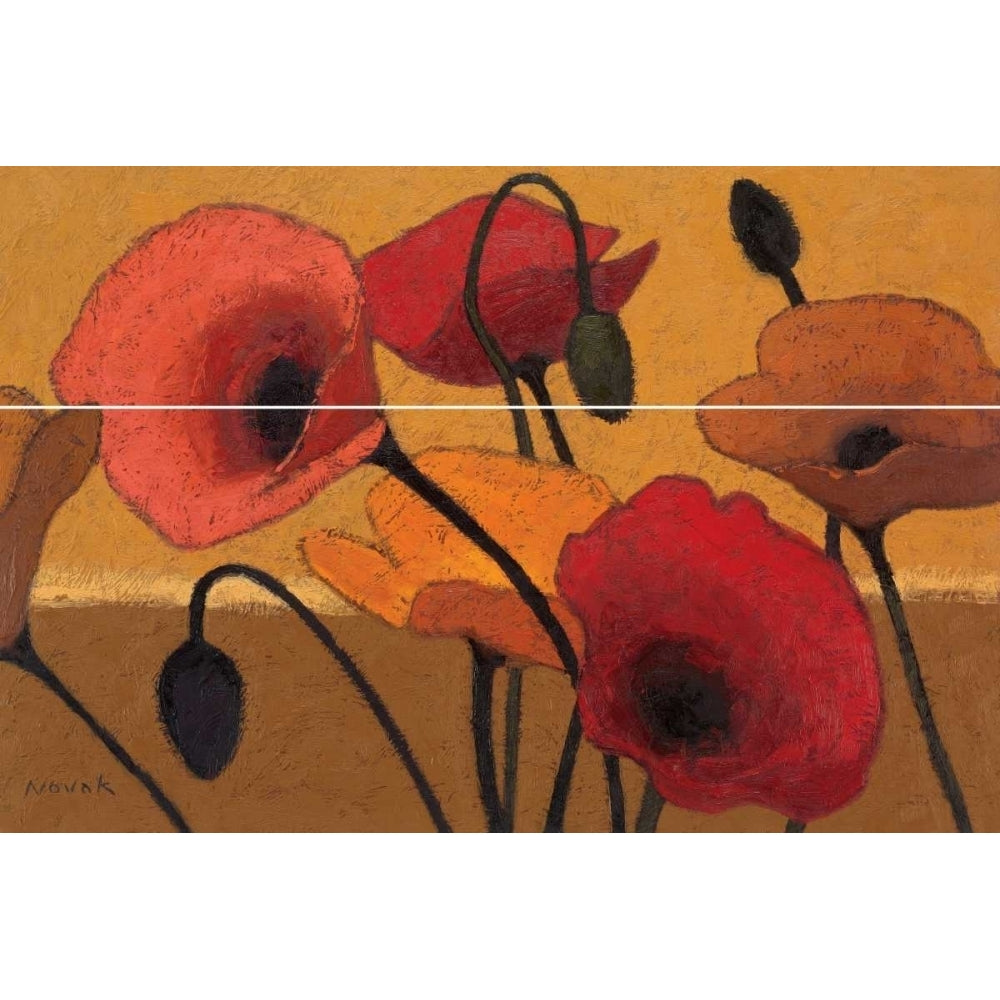 Poppy Curry III Poster Print by Shirley Novak-VARPDX1219 Image 1