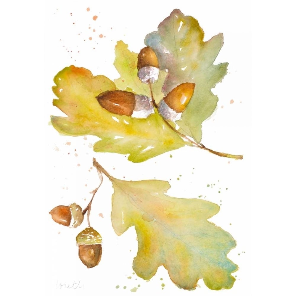 Acorns and Oak Leaves II Poster Print by Lanie Loreth-VARPDX12192 Image 1