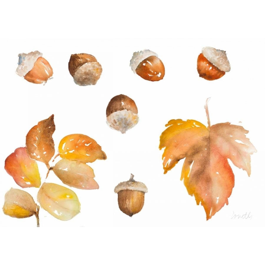 Tawny Autumn Leaves and Acorns Poster Print by Lanie Loreth-VARPDX12197 Image 1