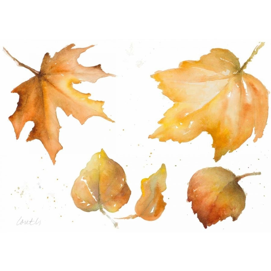 Tawny Autumn Leaves Poster Print by Lanie Loreth-VARPDX12198 Image 1