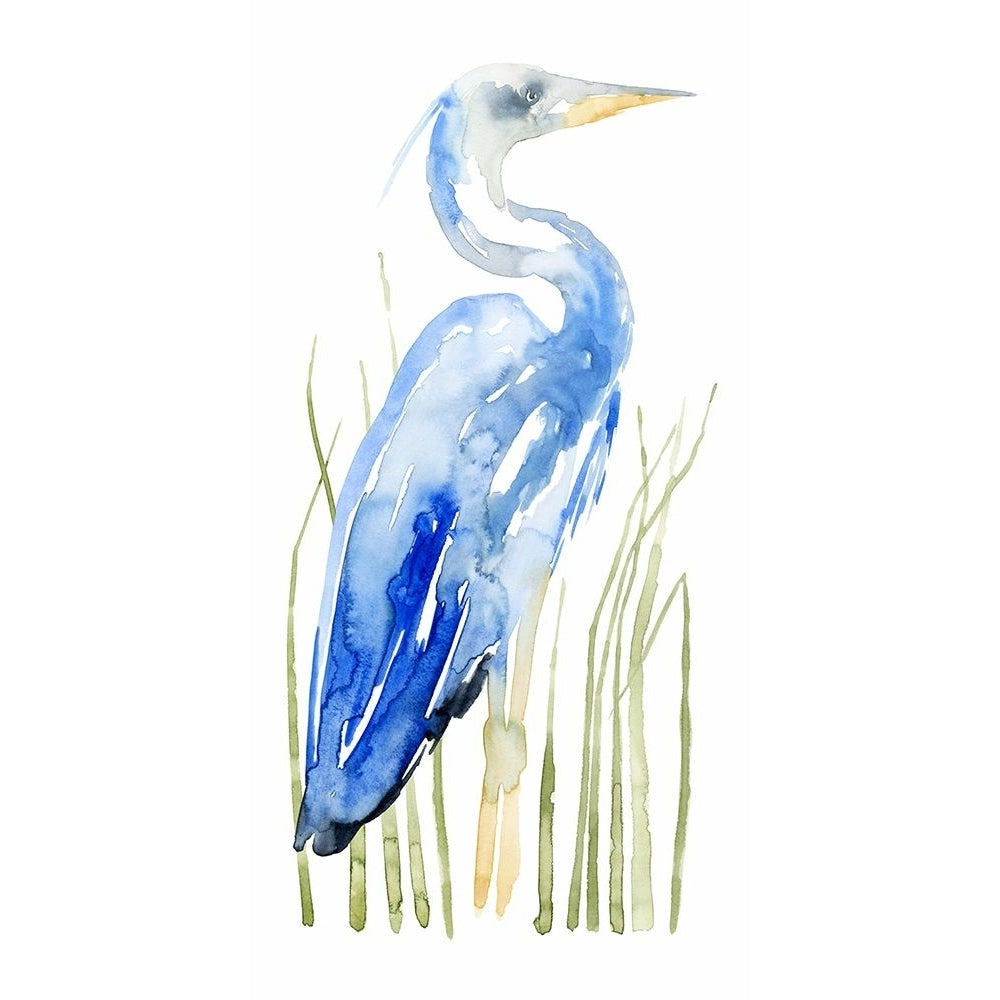 Blue Watercolor Heron II Poster Print - Grace Popp-VARPDX122181Z Image 1