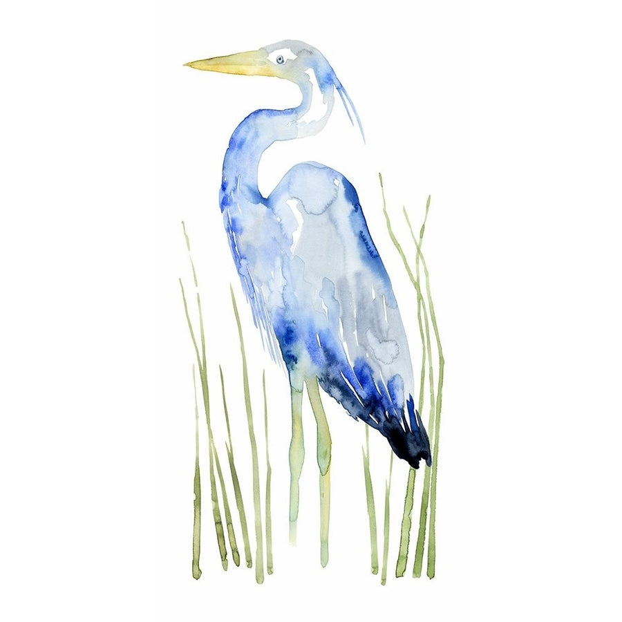 Blue Watercolor Heron I Poster Print - Grace Popp-VARPDX122180Z Image 1