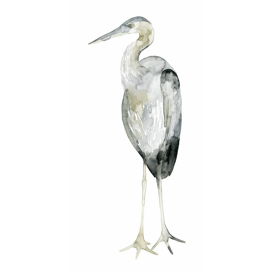 Grey Watercolor Heron II Poster Print - Grace Popp-VARPDX122183Z Image 1