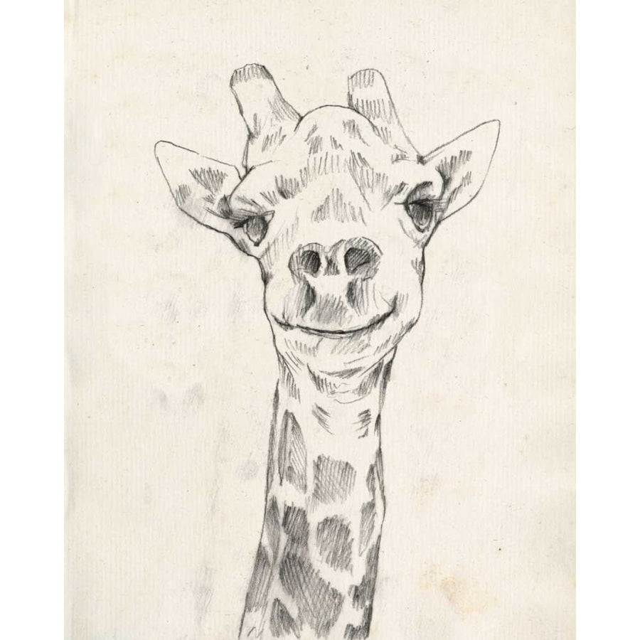 Giraffe Portrait I Poster Print - Jennifer Goldberger-VARPDX122270Z Image 1