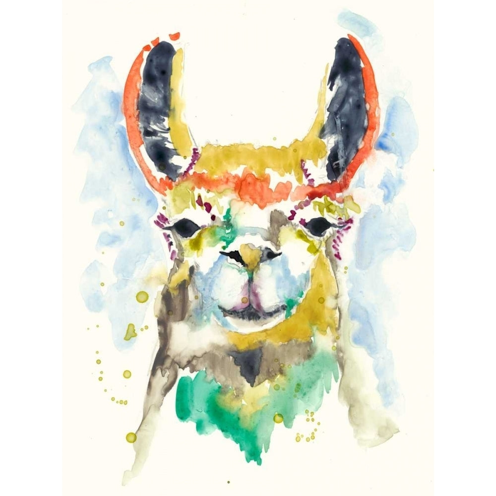 Hifi Llama II Poster Print - Jennifer Goldberger-VARPDX122275GG Image 1