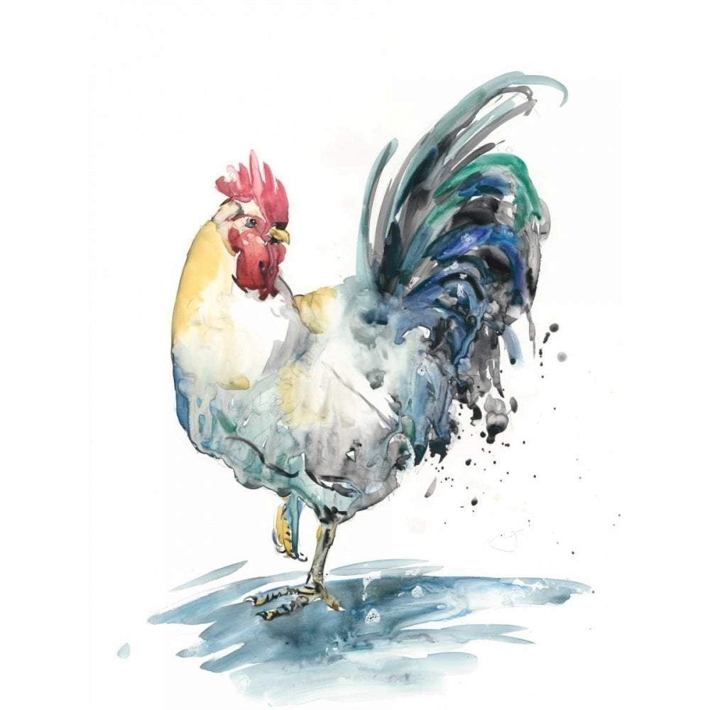 Rooster Splash I Poster Print - Melissa Wang-VARPDX122300D Image 1