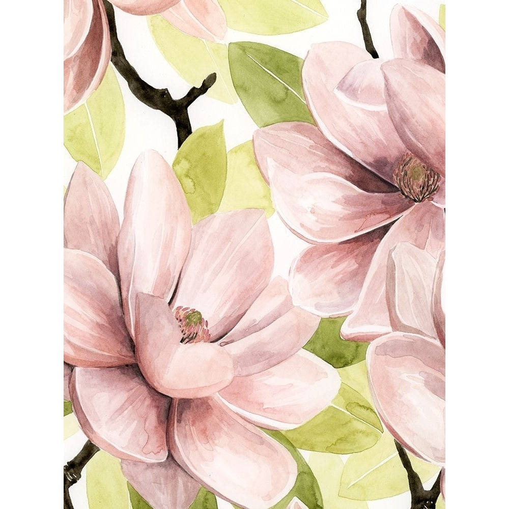 Blush Magnolia I Poster Print - Grace Popp-VARPDX122388Z Image 1