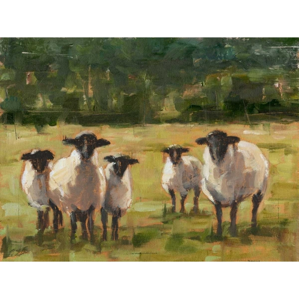 Sheep Family I Poster Print - Ethan Harper-VARPDX122543FN Image 1