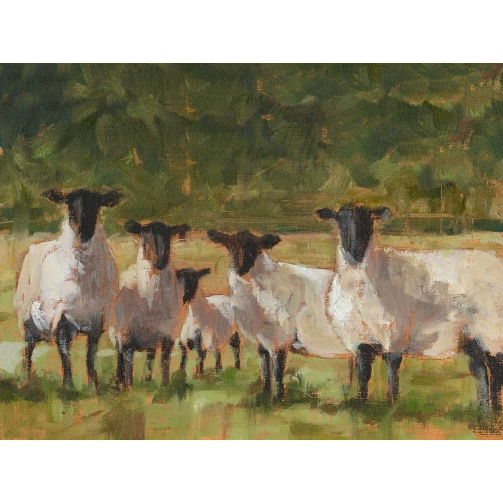 Sheep Family II Poster Print - Ethan Harper-VARPDX122544FN Image 1