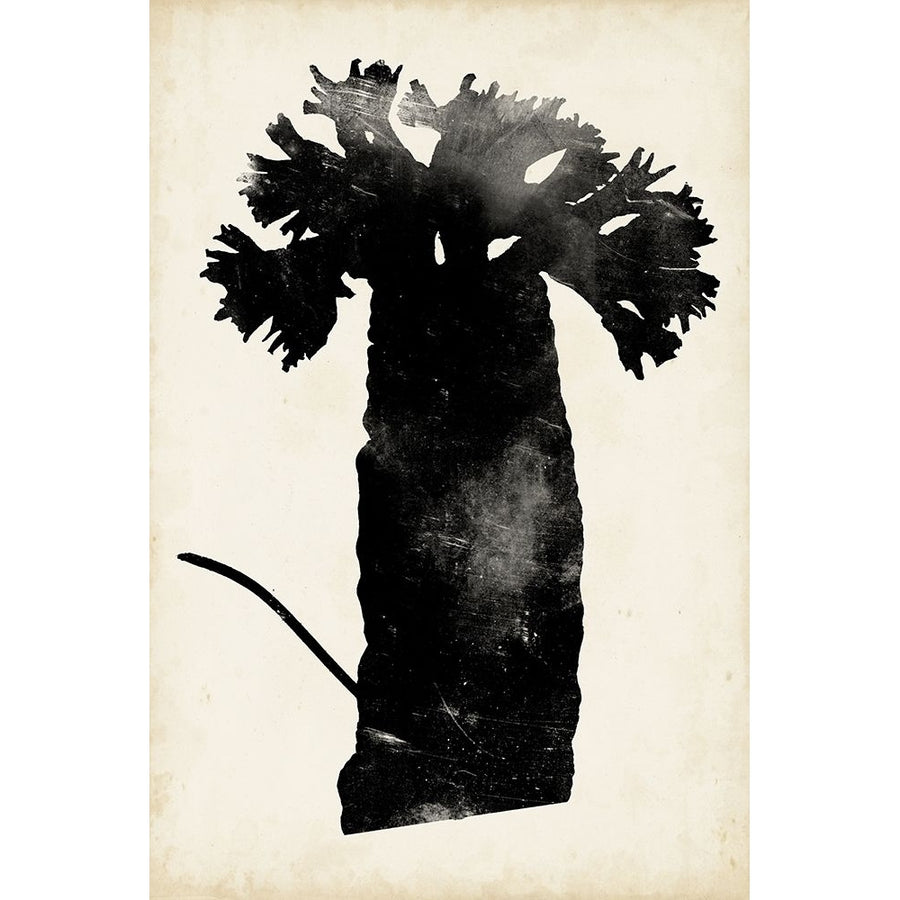 Fern Silhouette II Poster Print - Studio Vision-VARPDX122643Z Image 1