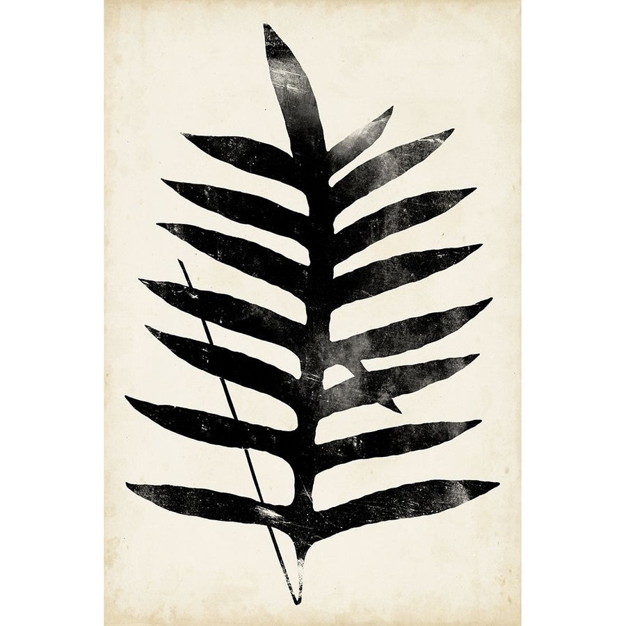 Fern Silhouette III Poster Print - Studio Vision-VARPDX122644Z Image 1