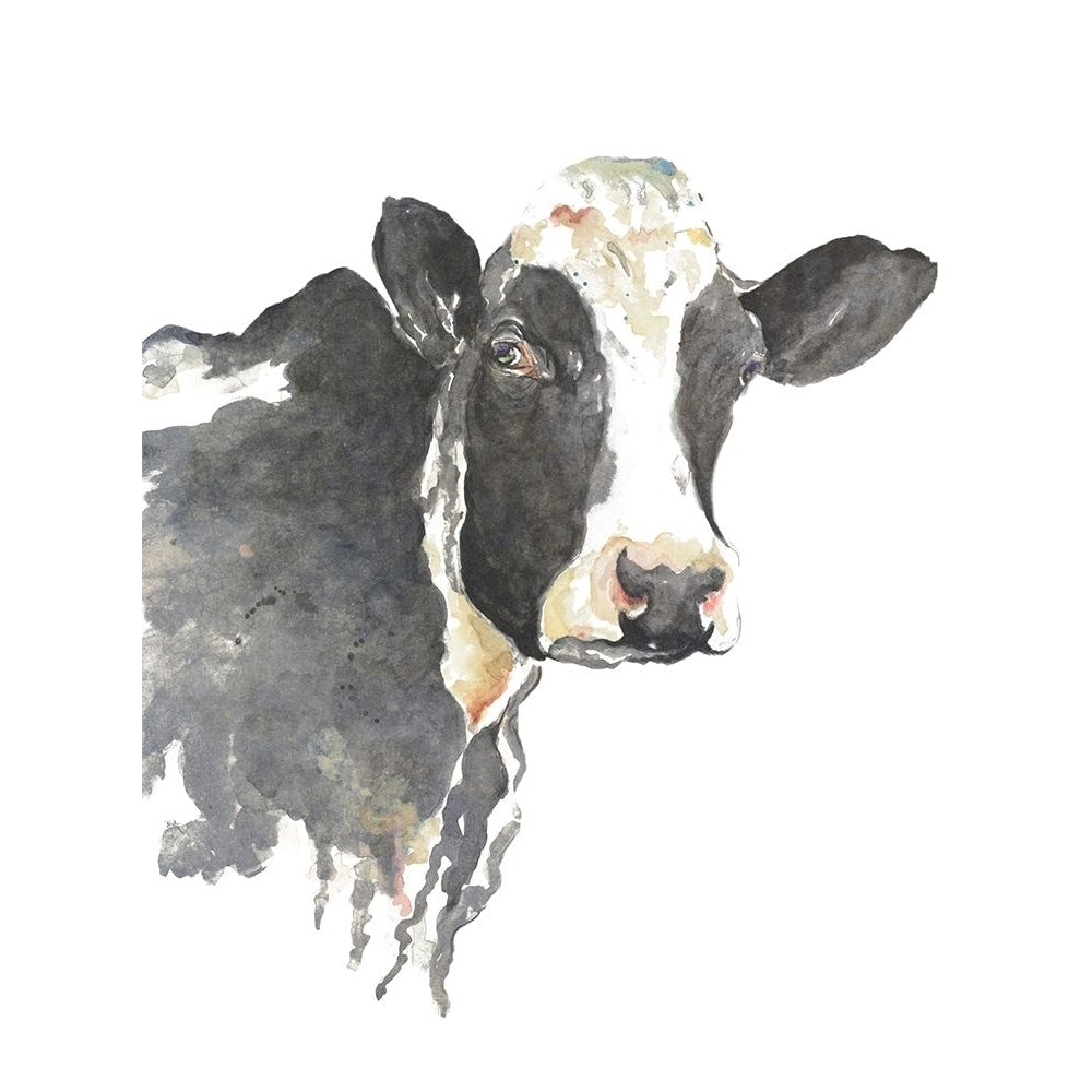 Watercolor Cow by Patricia Pinto-VARPDX12268R Image 1