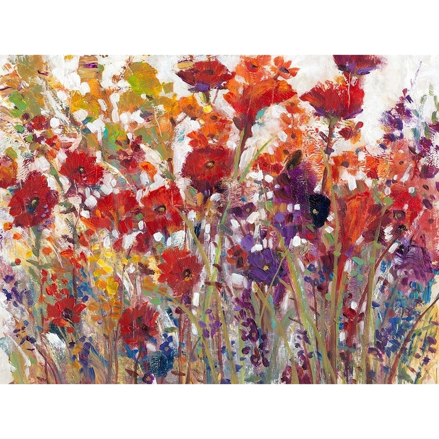 Variety of Flowers I Poster Print - Tim OToole-VARPDX122727GG Image 1