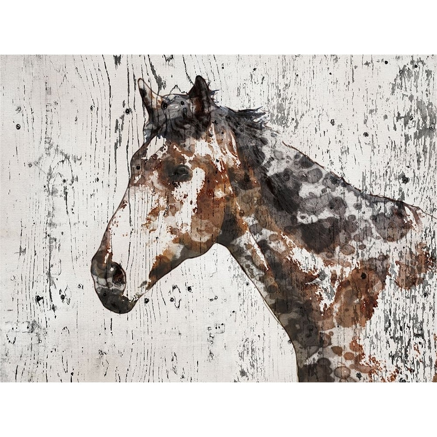 Galaxy Horse II Poster Print - Irena Orlov-VARPDX122912GG Image 1