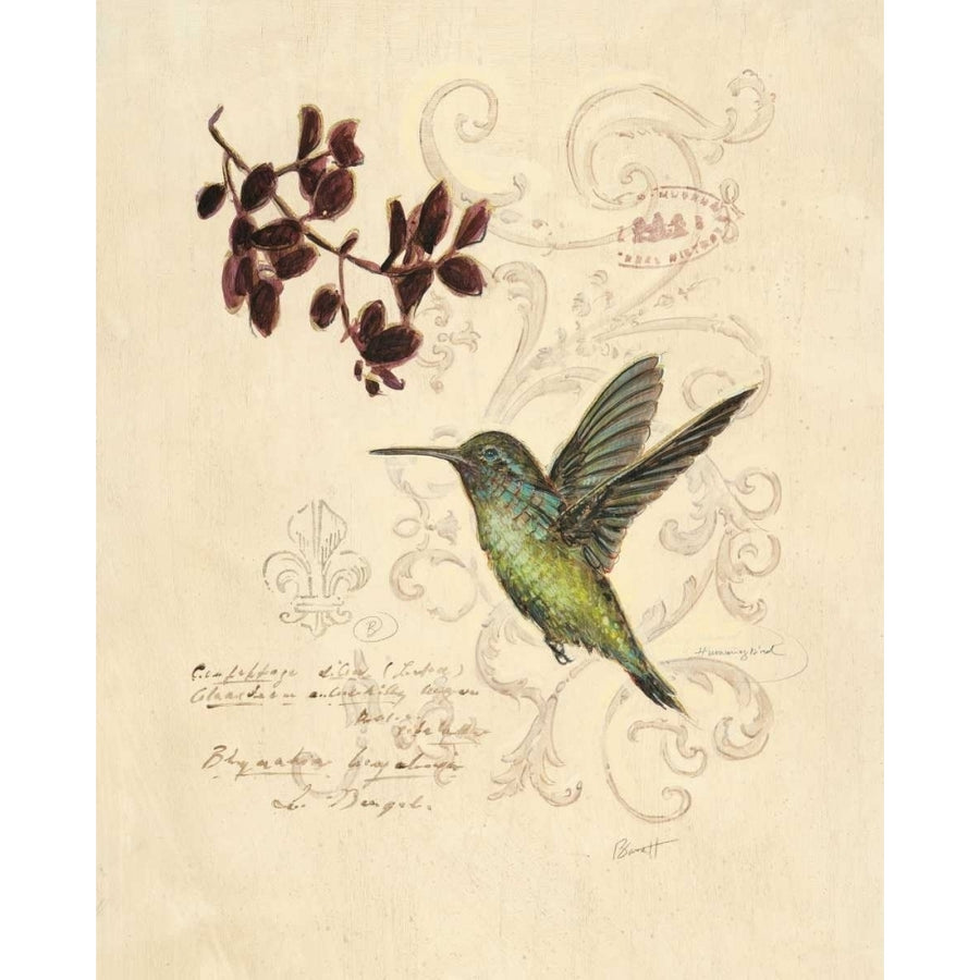 Filigree Hummingbird Poster Print by Chad Barrett-VARPDX122BAR1182 Image 1