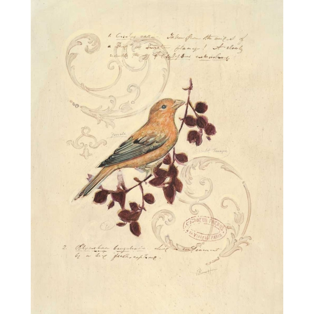 Filigree Songbird Poster Print by Chad Barrett-VARPDX122BAR1183 Image 1